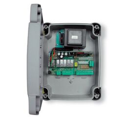 Блок управления A6F для 2-х 230В приводов  ( распашные ), фото 1