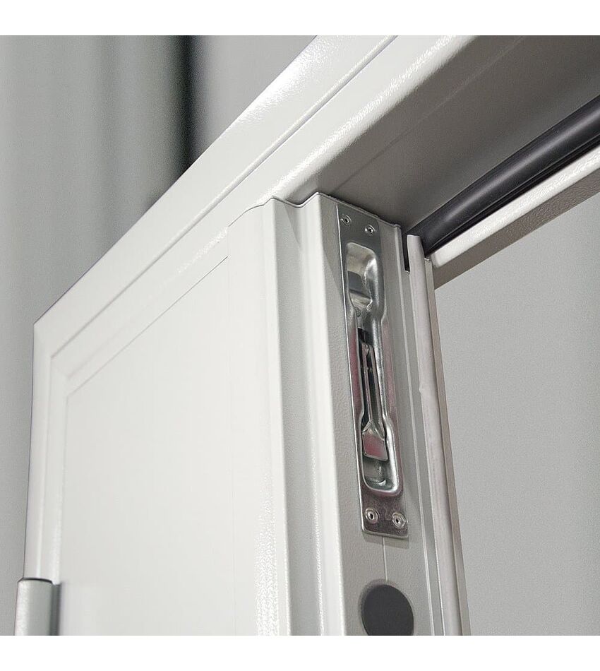 Дверь противопожарная металлическая двупольная EI 60. ДП-2 BRAVO, фото 6