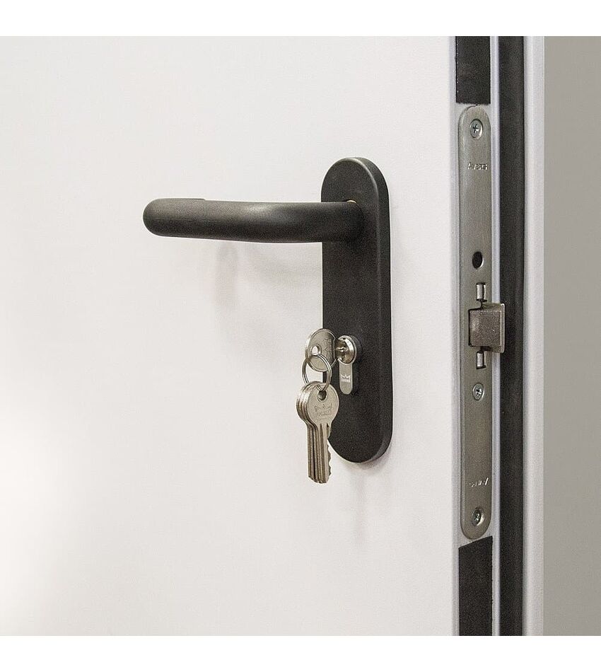 Дверь противопожарная металлическая однопольная  EI 60. ДП-1 BRAVO, фото 3